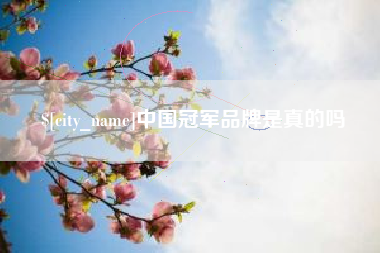 朔州中国冠军品牌是真的吗