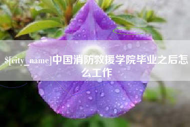 朔州中国消防救援学院毕业之后怎么工作