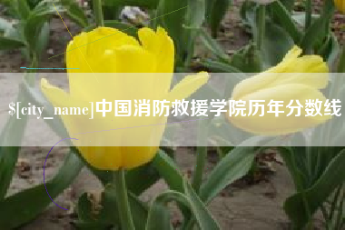 朔州中国消防救援学院历年分数线