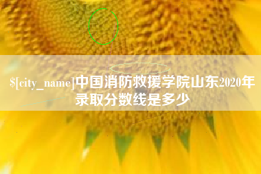 朔州中国消防救援学院山东2020年录取分数线是多少