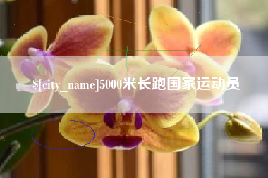 朔州5000米长跑国家运动员
