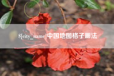 朔州中国地图格子画法