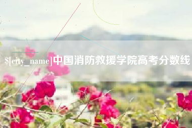 朔州中国消防救援学院高考分数线