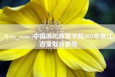 朔州中国消防救援学院2021年浙江省录取分数线