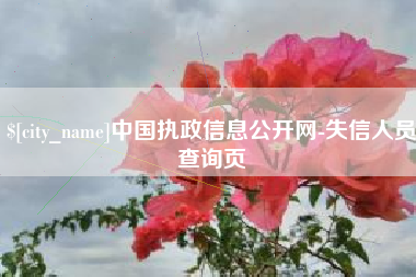 朔州中国执政信息公开网-失信人员查询页