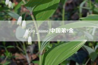 朔州中国第9金