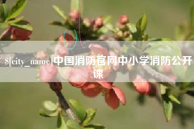 朔州中国消防官网中小学消防公开课