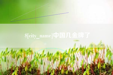 朔州中国几金牌了