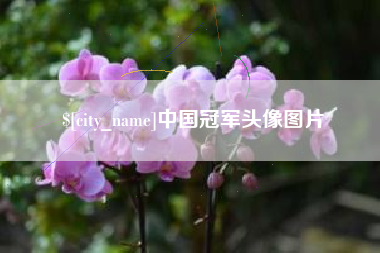朔州中国冠军头像图片