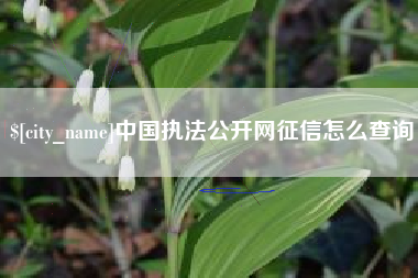 朔州中国执法公开网征信怎么查询