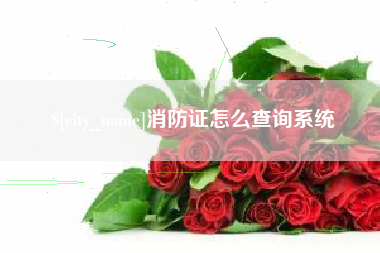 朔州消防证怎么查询系统