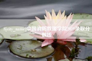 朔州中国消防救援学院2019录取分数线