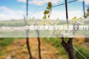朔州中国消防救援学院在那个地方