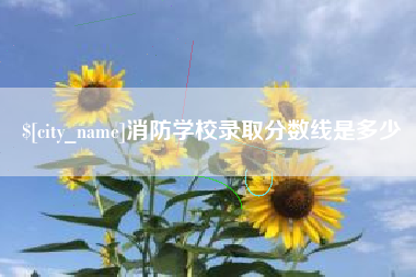 朔州消防学校录取分数线是多少