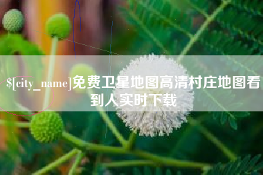 朔州免费卫星地图高清村庄地图看到人实时下载