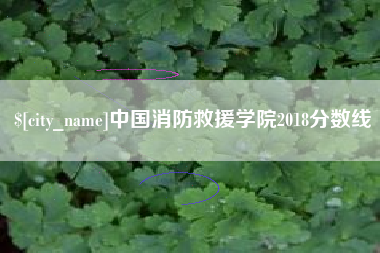 朔州中国消防救援学院2018分数线
