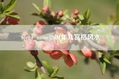 朔州2021年九宫格风水