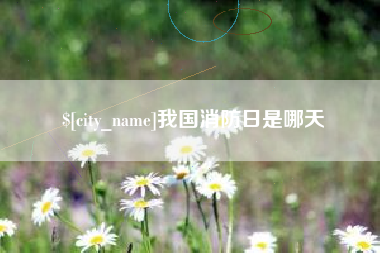 朔州我国消防日是哪天