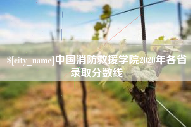 朔州中国消防救援学院2020年各省录取分数线