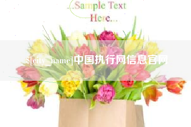 朔州中国执行网信息官网