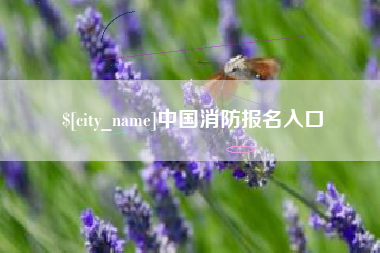 朔州中国消防报名入口