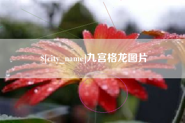 朔州九宫格龙图片