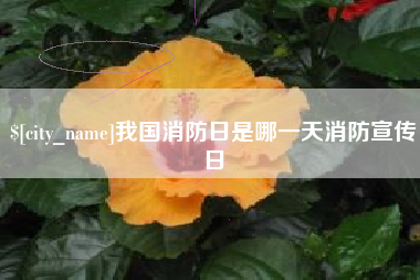朔州我国消防日是哪一天消防宣传日