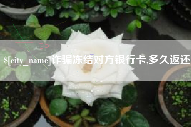 朔州诈骗冻结对方银行卡,多久返还