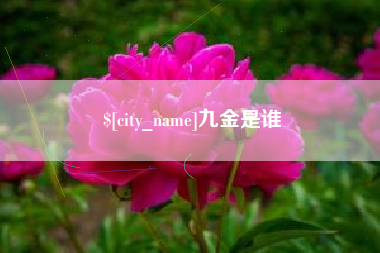 朔州九金是谁