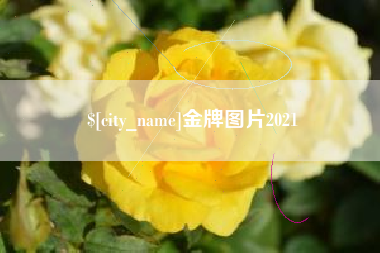 朔州金牌图片2021