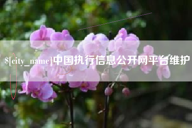 朔州中国执行信息公开网平台维护