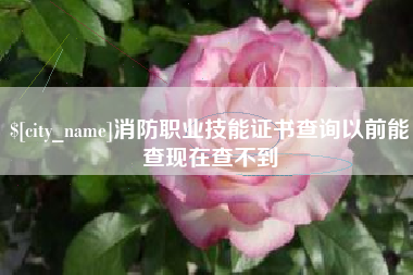 朔州消防职业技能证书查询以前能查现在查不到