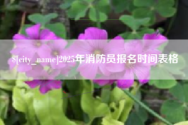 朔州2025年消防员报名时间表格