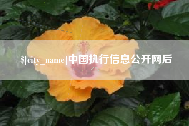 朔州中国执行信息公开网后