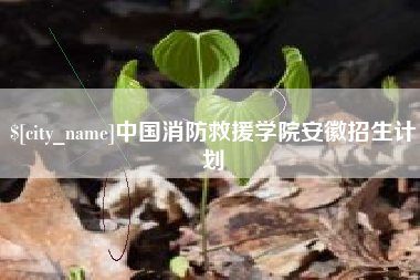 朔州中国消防救援学院安徽招生计划