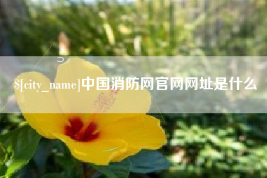 朔州中国消防网官网网址是什么