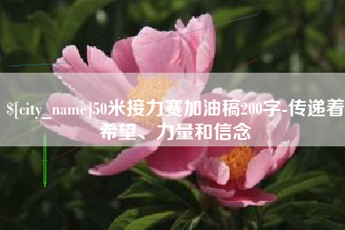 朔州50米接力赛加油稿200字-传递着希望、力量和信念