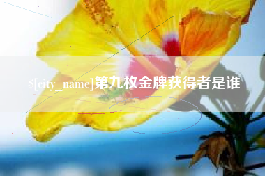 朔州第九枚金牌获得者是谁