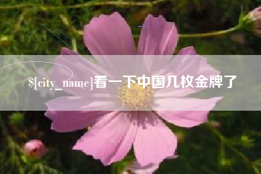朔州看一下中国几枚金牌了