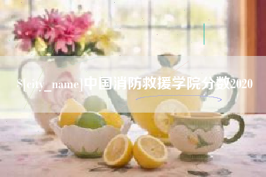 朔州中国消防救援学院分数2020