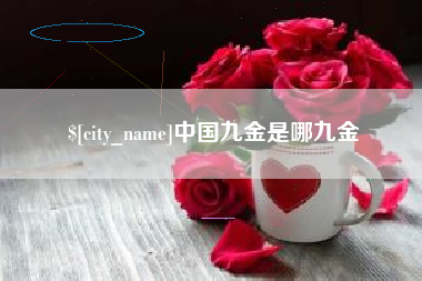 朔州中国九金是哪九金