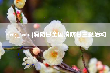 朔州消防日全国消防日主题活动