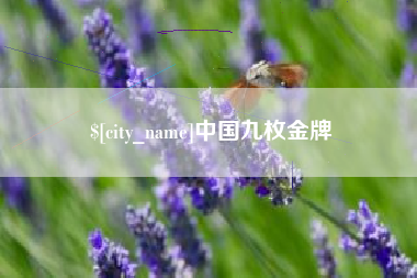 朔州中国九枚金牌