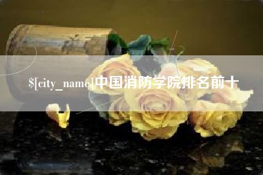 朔州中国消防学院排名前十