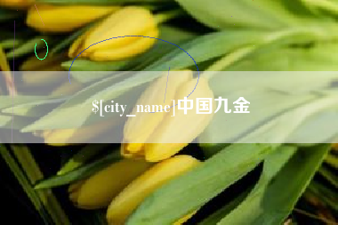 朔州中国九金