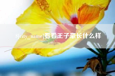 朔州看看王子豪长什么样