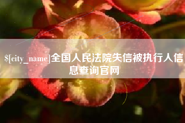 朔州全国人民法院失信被执行人信息查询官网