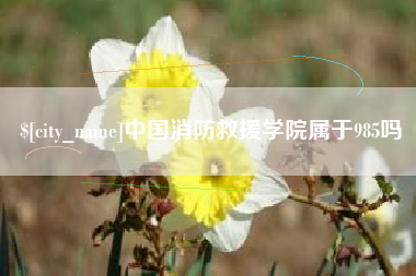 朔州中国消防救援学院属于985吗