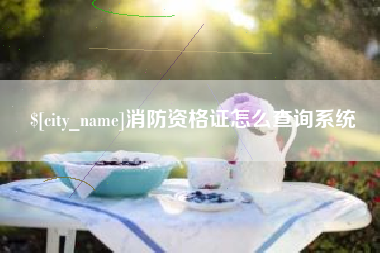 朔州消防资格证怎么查询系统