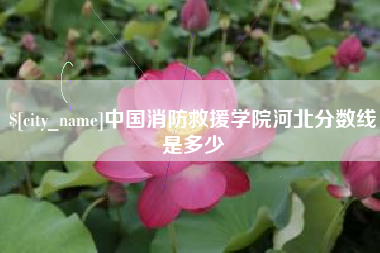 朔州中国消防救援学院河北分数线是多少
